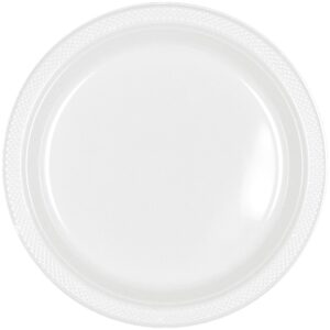 9" Plastic Plates 20 Ct - Frosty White